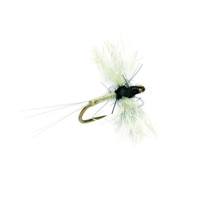 Midge Caenis Polywing