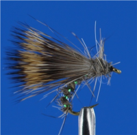 Sedge Emergent