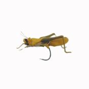 Hopper Brown