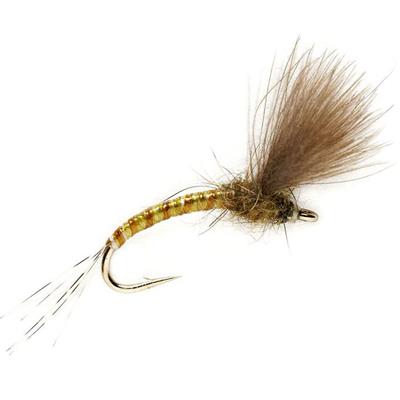 KJ Olive Emerger