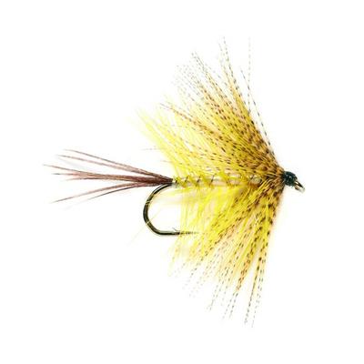 Mayfly Yellow