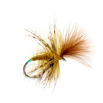 McPhail Grunter Olive