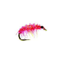 Micro Shrimp Pink