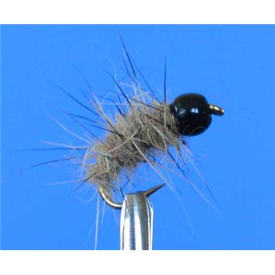 Orl Tungsten Tête Noire
