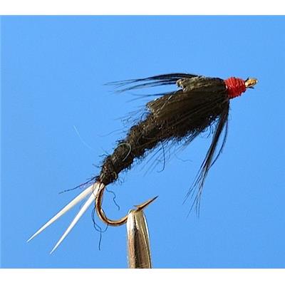 Stonefly Black