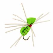 Beetle Green