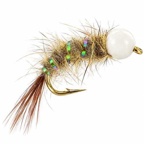 Caddis Orl Blanche