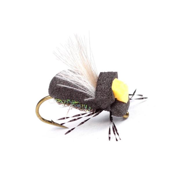 High-Viz Peacock Beetle