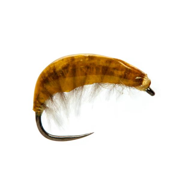 Juglaret's French Gammarus Orange