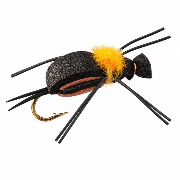 Mormon Cricket