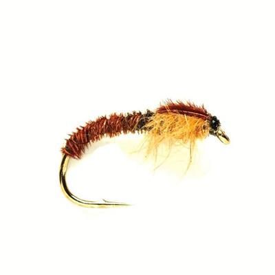 Cove's Pheasant Tail Nymph