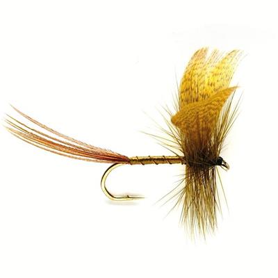 Mayfly Green Drake