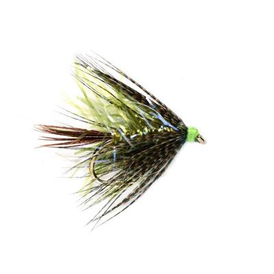 Straggler Olive UV