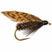 Alder