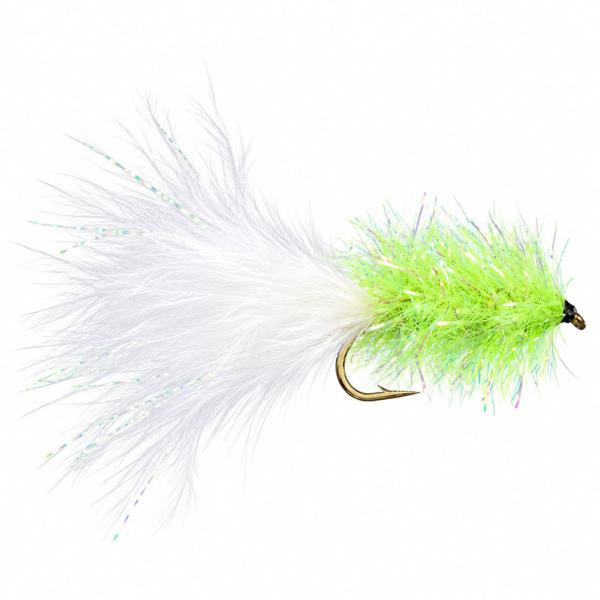 Estaz Bug Chartreux