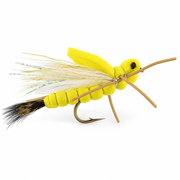 Hopper Golden Foam