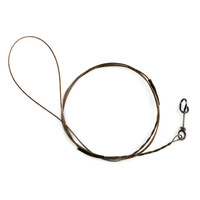 Bas De Ligne Carnassiers