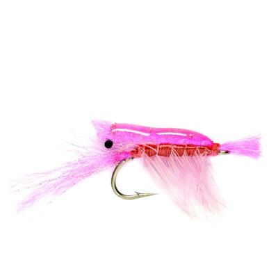Ultra Shrimp Pink