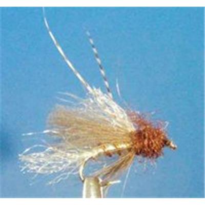 Sedge Emergent CDC