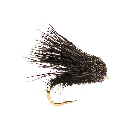 Streaking Caddis All Black