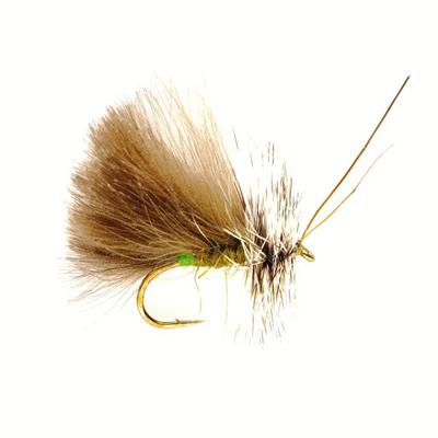 Sedge High Rider CdC Olive