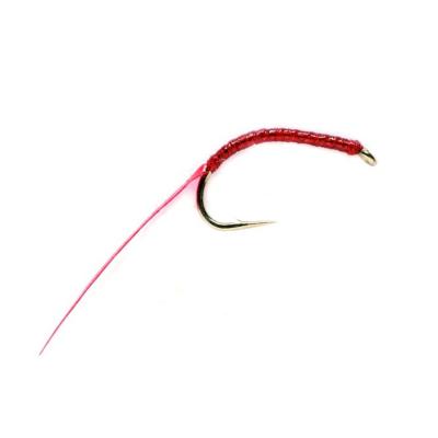 Flexi Bloodworm