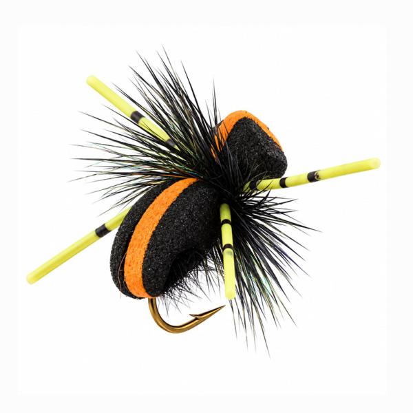 Foam Beetle Orange