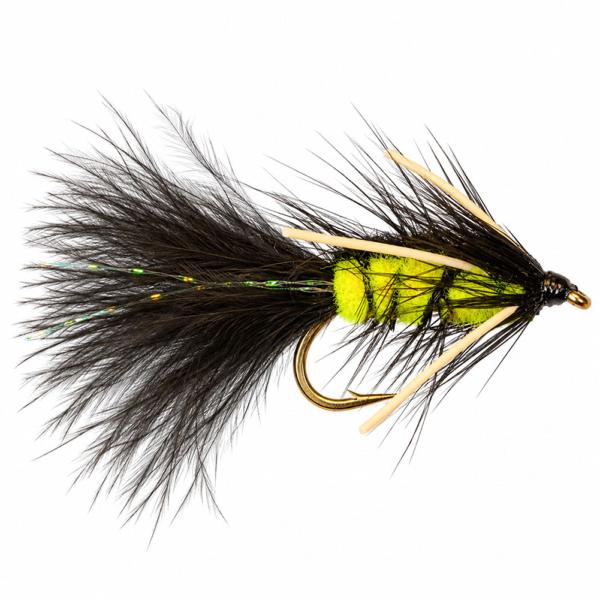 La Pankora Montana