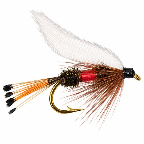 Royal Coachman Std