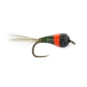 Tungstène Quill Red Collar