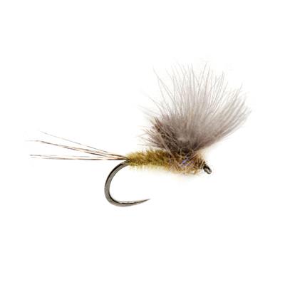 McPhail CdC Olive Barbless