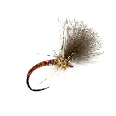 Quill CdC Emerger Orange Barbless