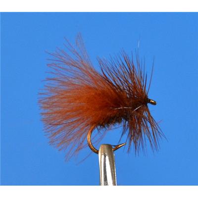 Sedge CDC Marron