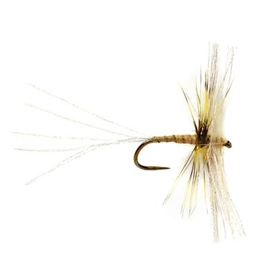 Spinner Yellow Dun Barbless