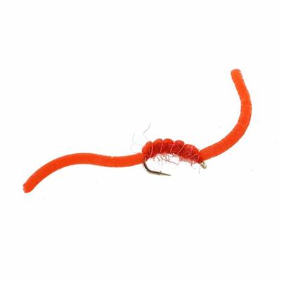 Squimmy Worm Orange