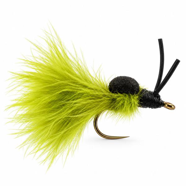 Escargot Marabou