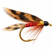 La Fish Hawk
