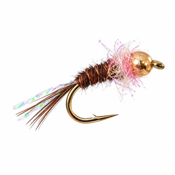 La spot Rose Tungsten
