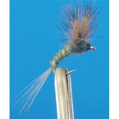 Comparadun Quill Olive