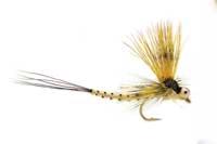 Mouches de Mai - Grdes Eph�m�res