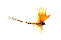 Mouches de Mai  - Grdes Ephmres