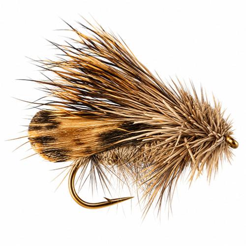 Le sedge Tout Terrain