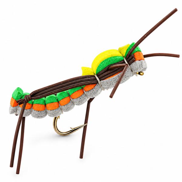 Stonefly Sauterelle Tricolore