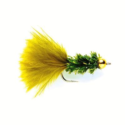 Cactus Fly Olive