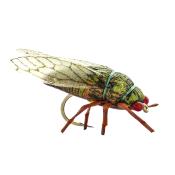 Cicada