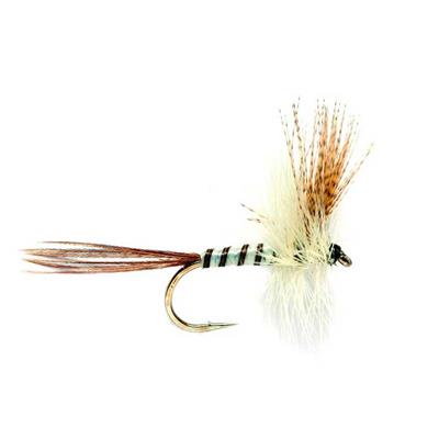 Mayfly Brown