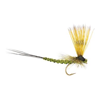 Mohican Mayfly Olive