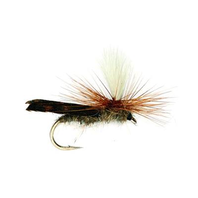 Parachute Caddis