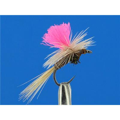 Parachute Quill Ombre
