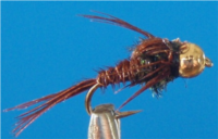 Pheasant Tail Tungstne